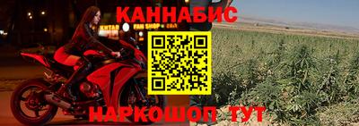 стафф Берёзовский
